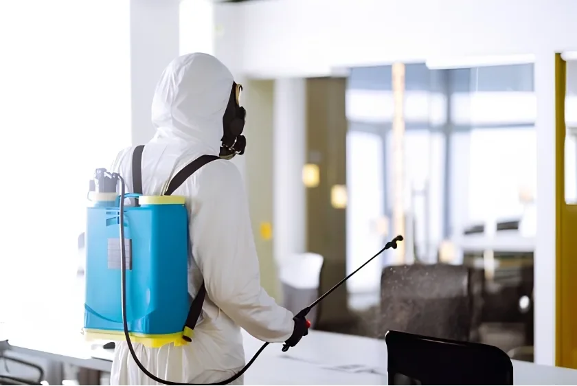 Bed Bug Elimination Service