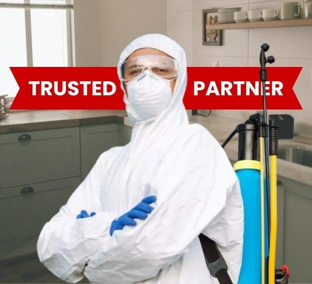 Anti-Termite Herbal Treatment