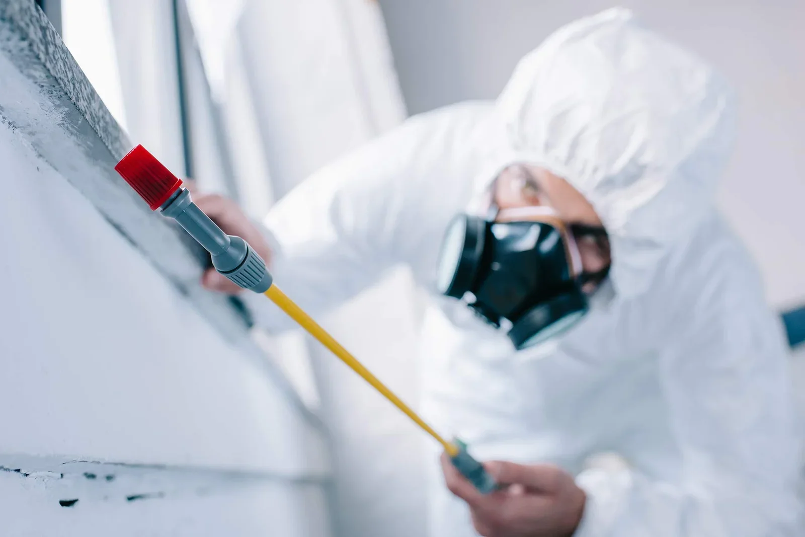 Herbal Mosquito Control Service
